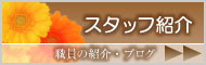スタッフの紹介